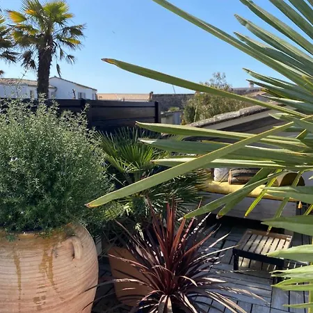 La Terrasse Du Bois Plage Le Bois-Plage-en-Re