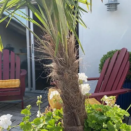 La Terrasse Du Bois Plage Apartment