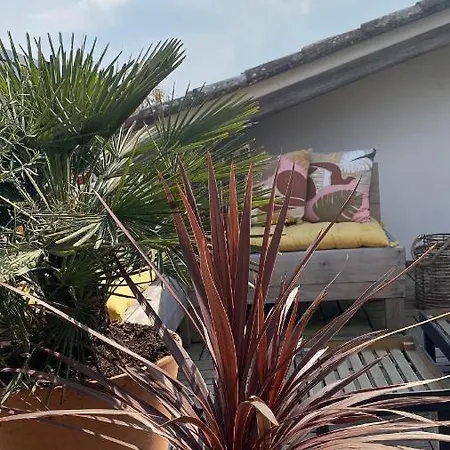 La Terrasse Du Bois Plage
